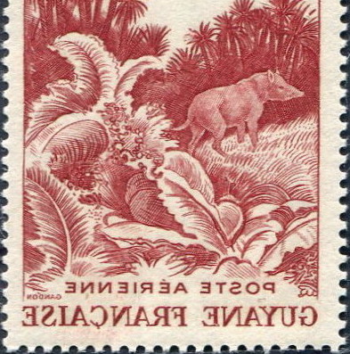 1947 guyanne pa36 copie