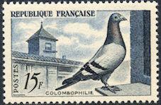 1957 colombophilie yt 1091