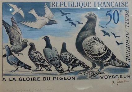 1957 pigeon non e mis